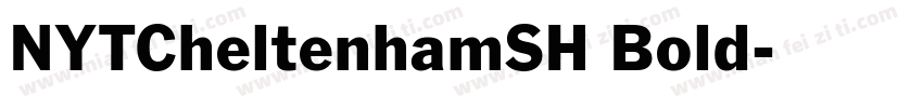 NYTCheltenhamSH Bold字体转换